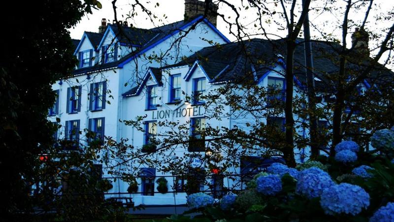 Hotel Lion &
