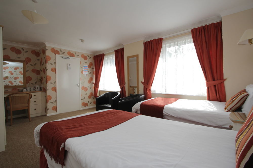 Hotel Lion & 3*